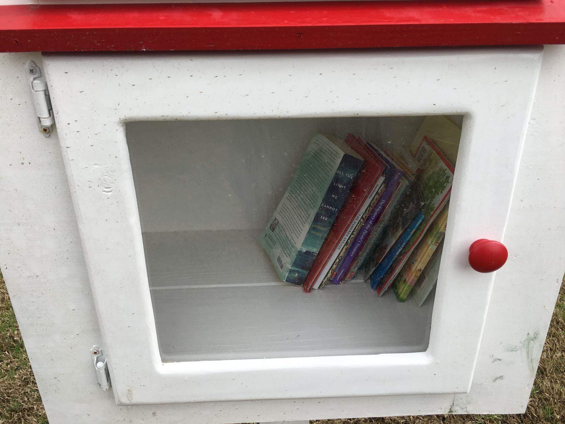 Little Library box with books