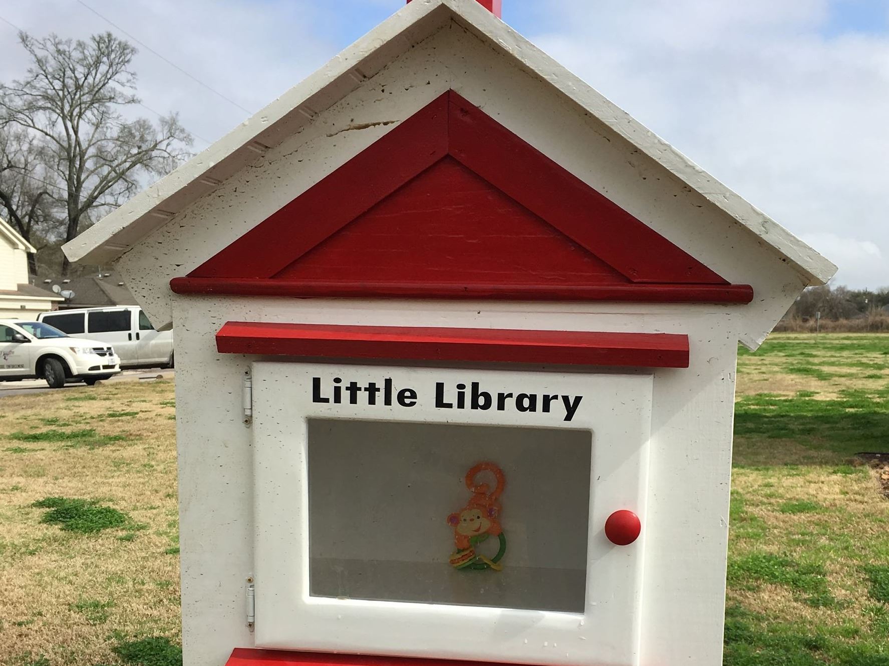 Little Library box with illustration