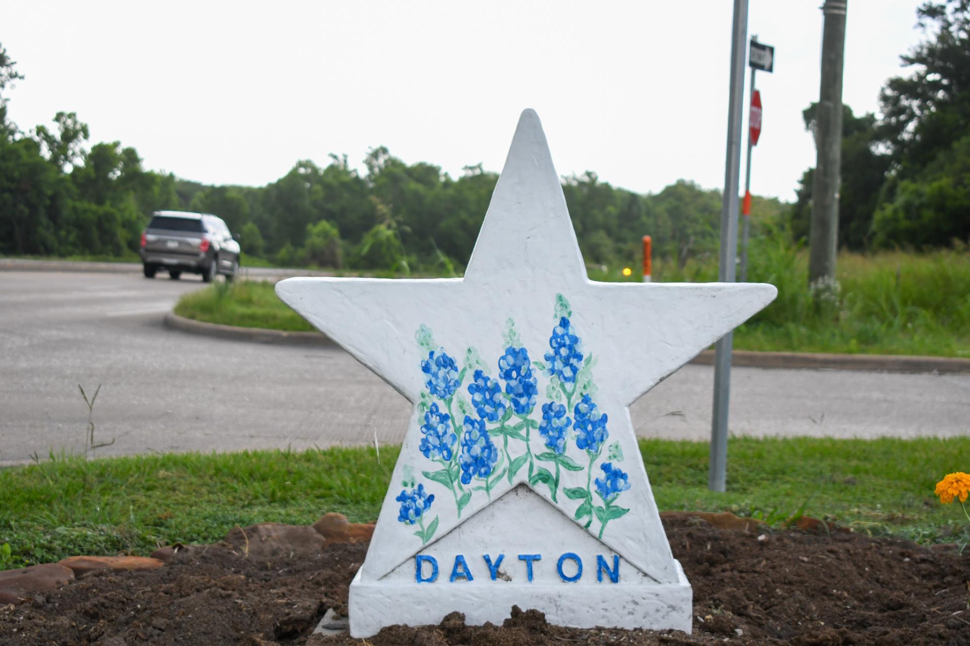 Dayton Farm & Ranch Star 1