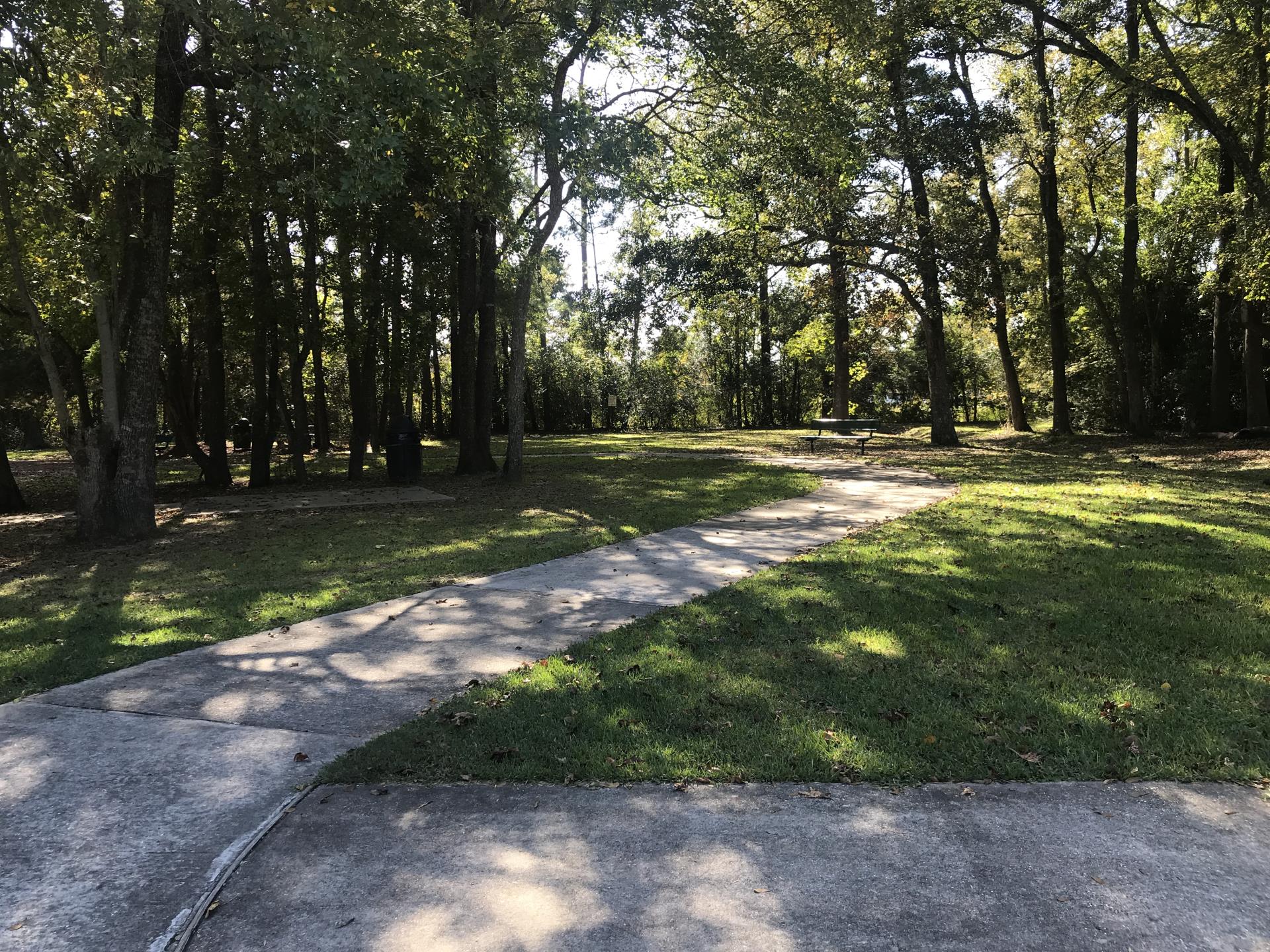Path in Henderson Park